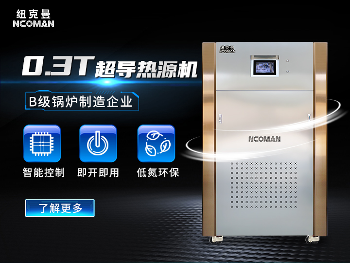 0.3T蒸汽模塊爐